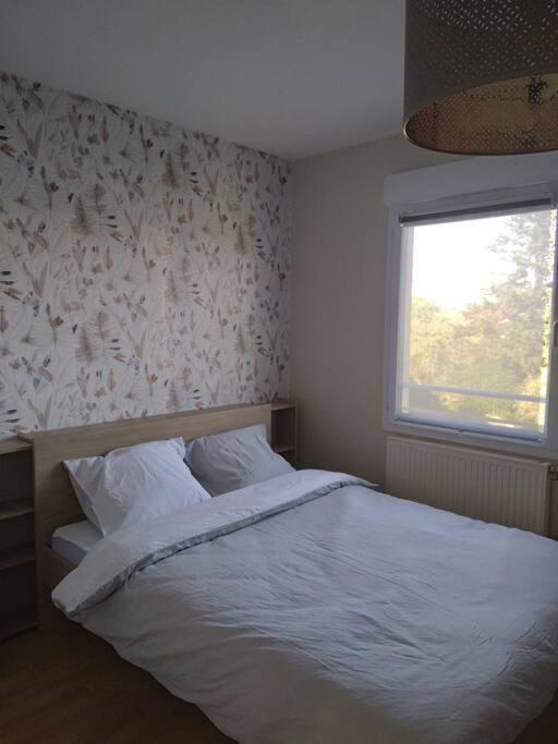 Appartement Rare Beaune Centre Magnifique 3 Pieces Proche Gare